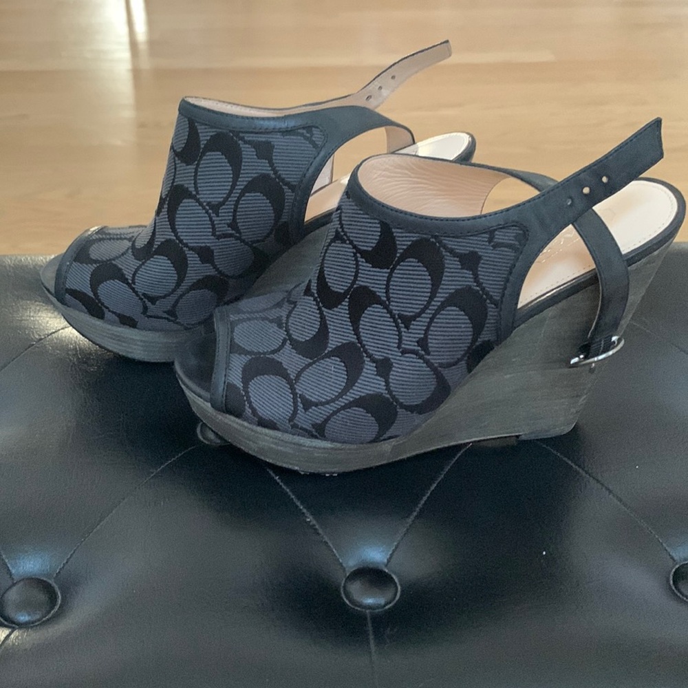 Coach platform